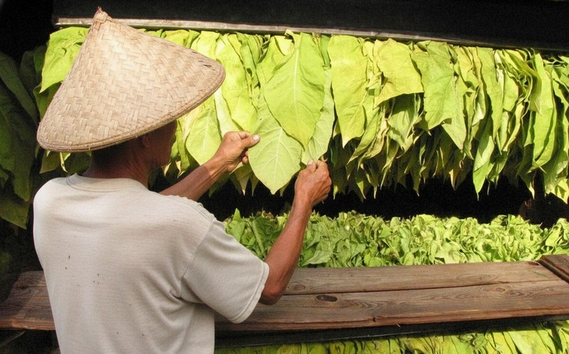 regulasi industri tembakau